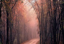 南宫NG28官网：祝贺！孙颖莎、王楚钦领跑WTT1000+冠军榜人民日报微博.