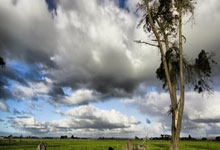 球星与球迷互动有爱瞬间：詹姆斯抱起摔倒服务生 东契奇主动送球衣.