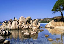 南宫NG28官网：伊藤洋辉：迎来晋级世界杯的关键比赛，是所有球员努力的结果.